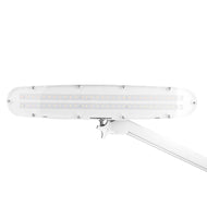 Elegante LED-Werkstattleuchte 801 l mit Schraubstock reg. weiße Lichtstärke