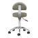304 gray cosmetic stool