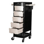 Gabbiano hairdressing assistant ft65 black / white
