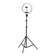 Lamp Ring Light 13"" 36W LED with stand black
