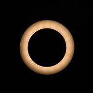 LAMPE LED SERPENT LAMPE DE BUREAU NOIR
