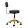 Cosmetic stool AM-304G Black