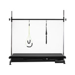 Electric grooming table P4W 1 black