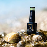 OCHO NAILS Hybrid nail polish Sorbet S03 -5 g