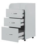 Cabinet Kombi grey