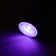 OCHO mini UV LED-lamp