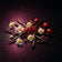 TI AMO - FOR WOMEN